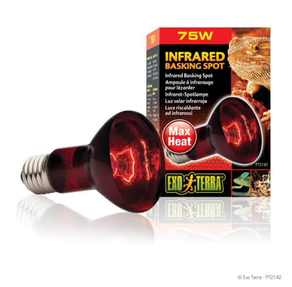 Infrarrojo 75W