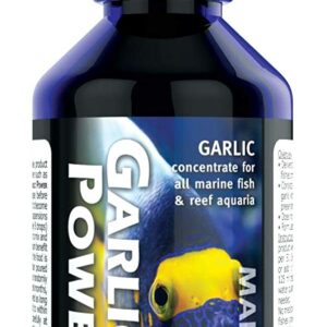 Garlic Power