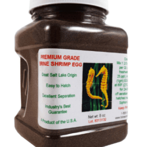 Premium Grade Brine Shrimp Eggs, 1.79 oz. (Artemia Salina)