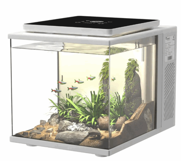 Dice Series Pico Cube Aquarium (2gal) Pearl White