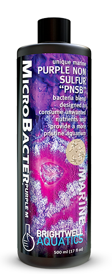 MicroBacter Purple M